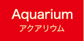 アクアリウム