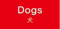 ドッグ 犬