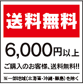 6000円以上送料無料