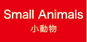 スモールアニマル 小動物